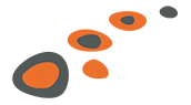FiRST Early Stepping Stones